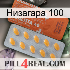 Низагара 100 43